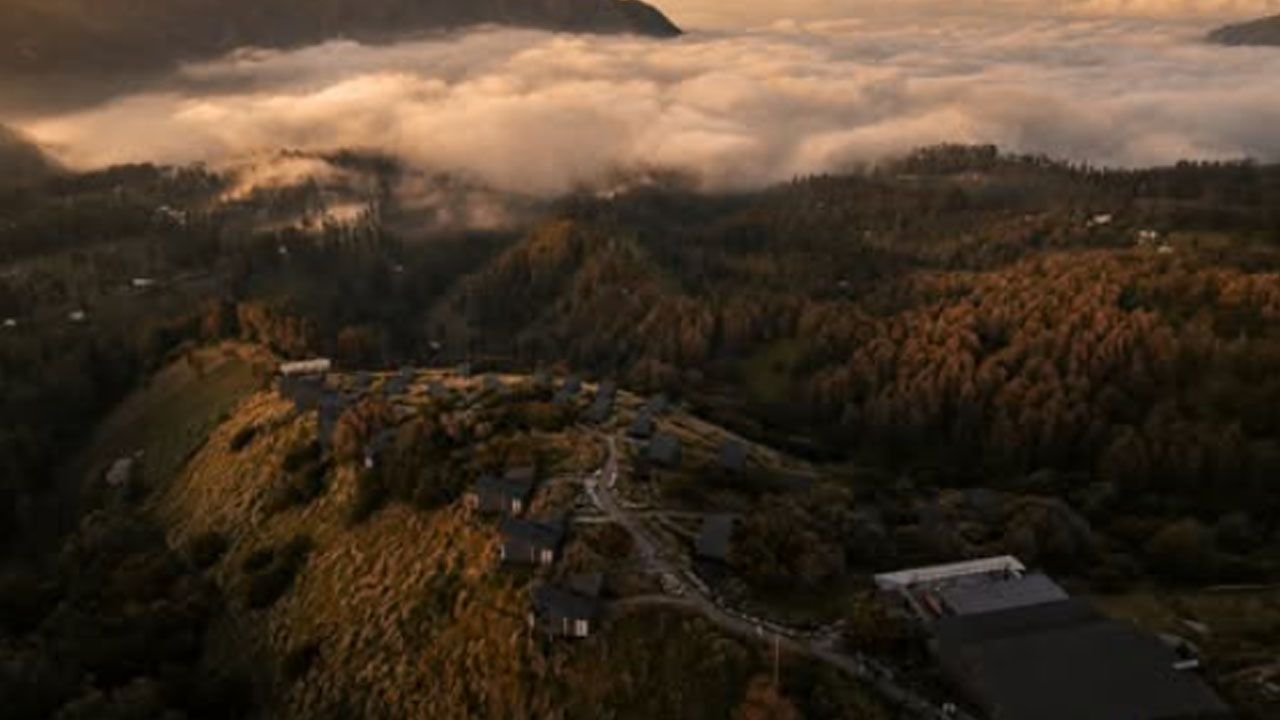 ARTOTEL Cabin Bromo - 1 - IG artotelcabinbromo