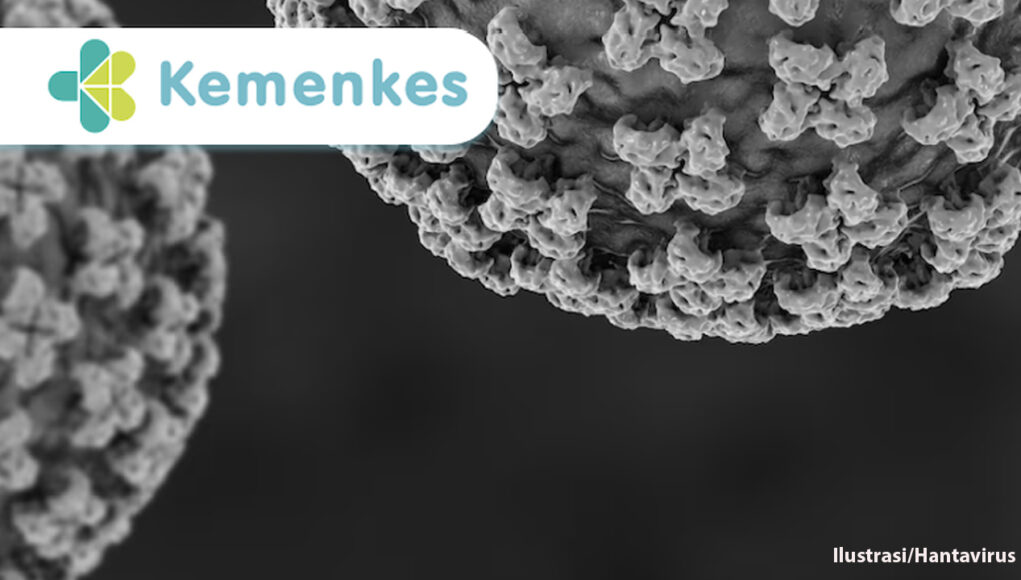 Hantavirus - 0 - Kemenkes
